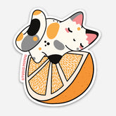 Sleepy Citrus Cat Magnet